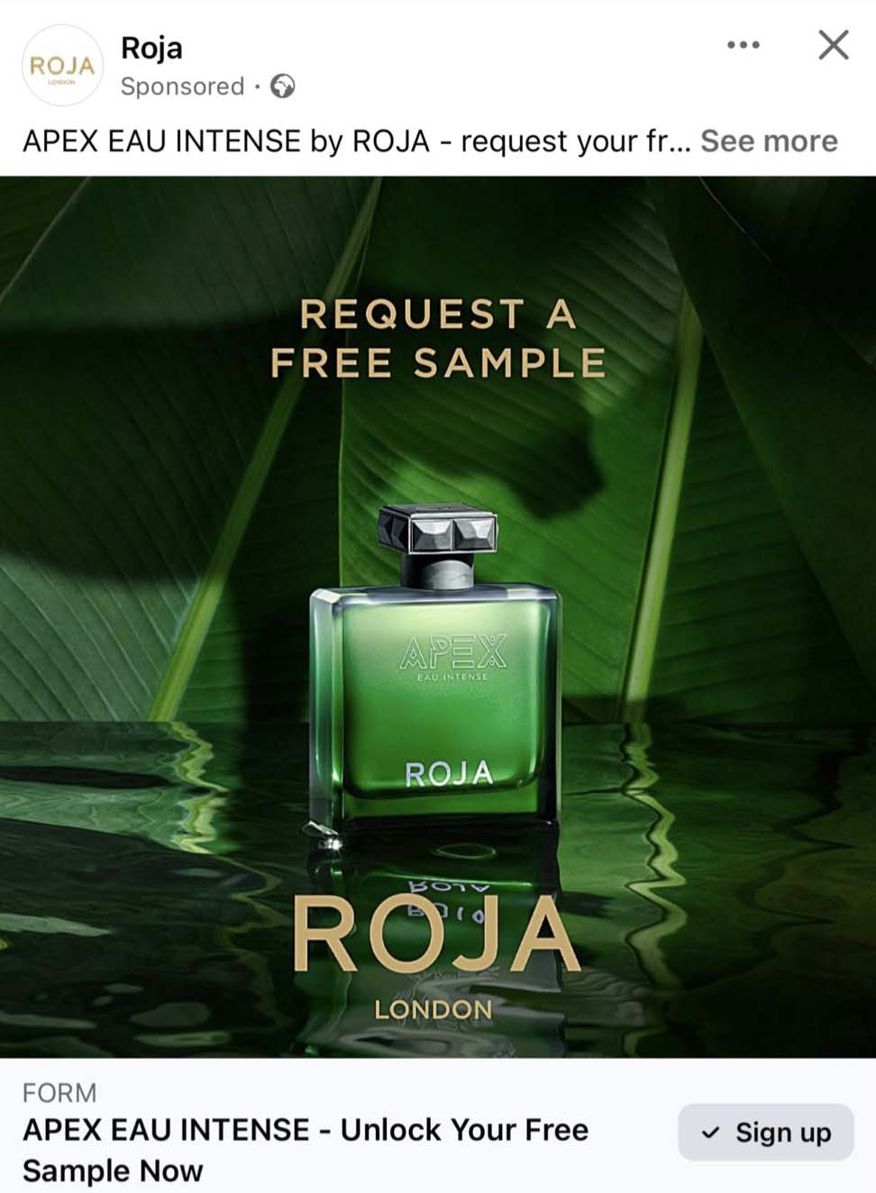 Free Roja Perfume